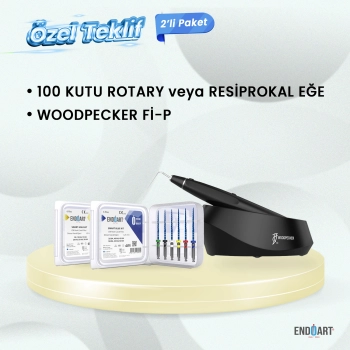100 Kutu Kanal Eğesi + Woodpecker Fi- P