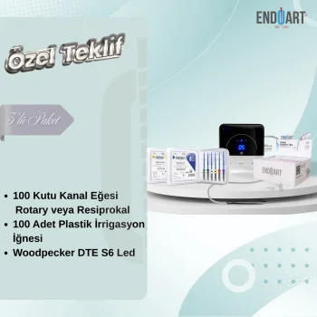 100 KUTU KANAL EĞESİ + WOODPECKER DTE S6 LED ULTRASONİC SCALER + 100 ADET İRRİGASYON