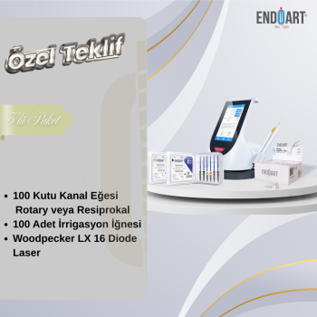  100 KUTU KANAL EĞESİ + Woodpecker DTE D-Laser 16 + 100 ADET İRRİGASYON