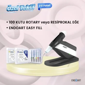 EndoArt Easy Fill + 100 Kutu Kanal Eğesi 