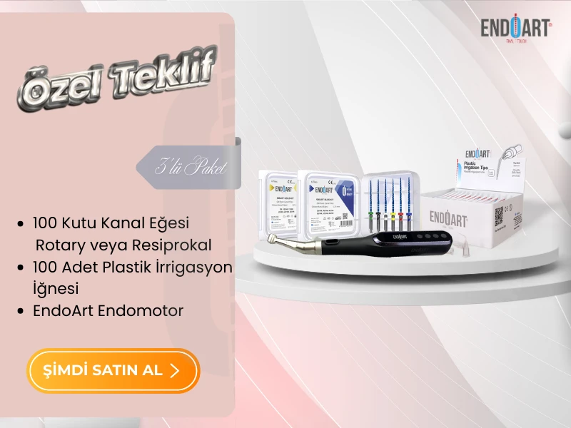 ENDOART ENDOMOTOR MOBİL