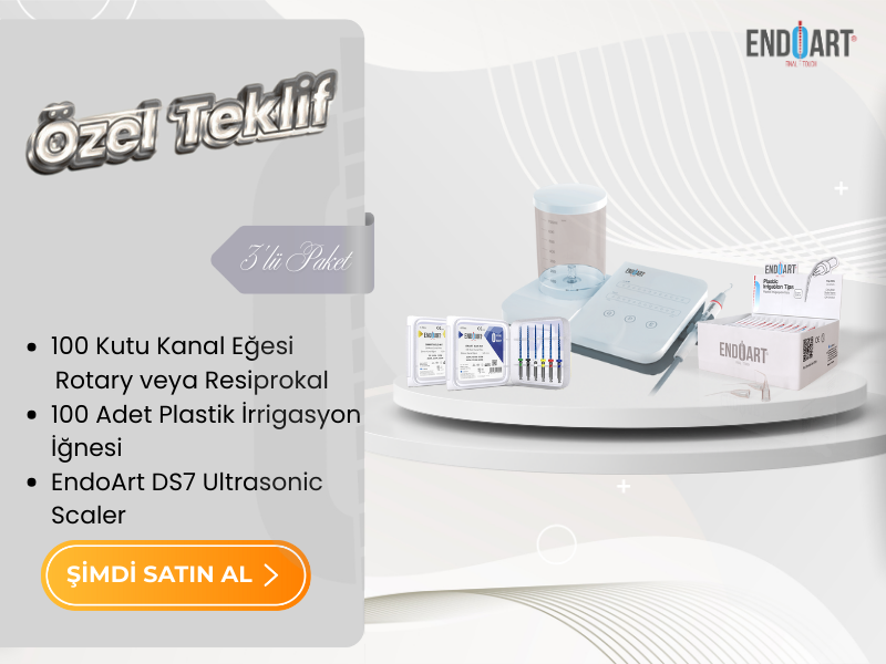 ENDOART SCALER MOBİL