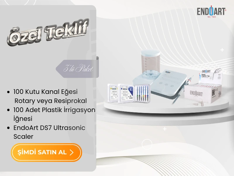 ENDOART SCALER MOBİL